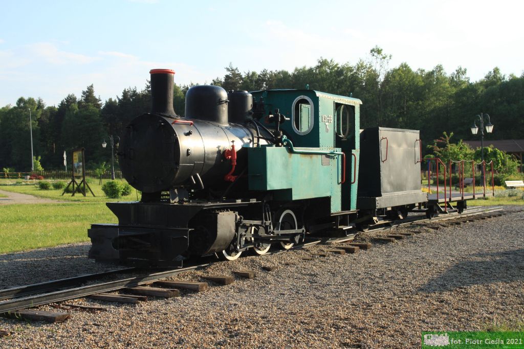 Las 4233 / Ty 1131-55