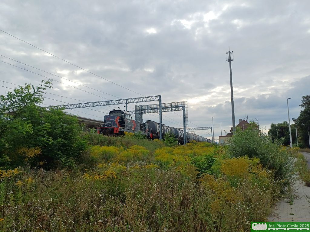 6Dg-203 [ex SM42-755]