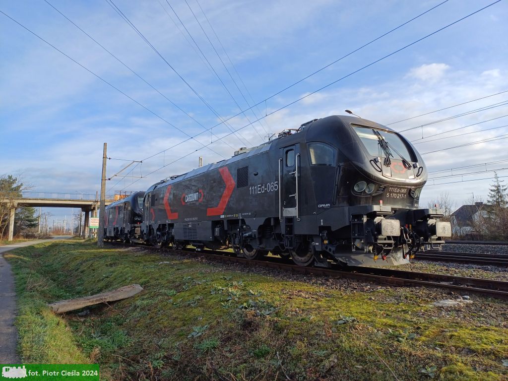 111Ed-065 "BASIA"