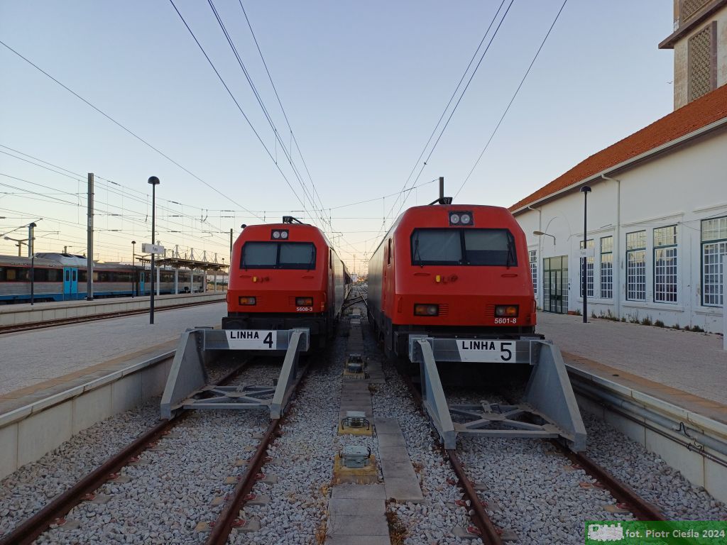 No. 2220 / CP5601-8