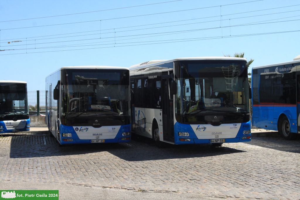 [Proximo Faro] #P407
