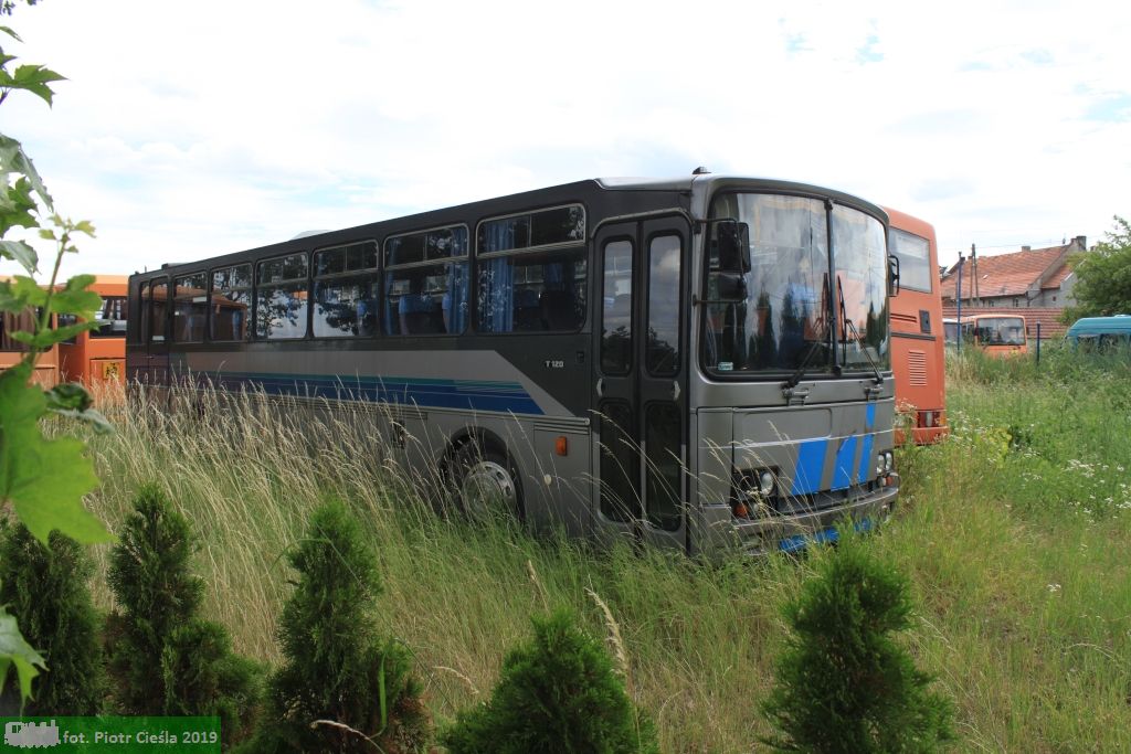 [DK Bus Legnica] #DL 34516