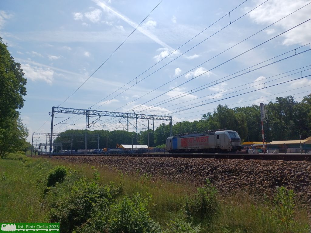 No. 23307 / 6193 115