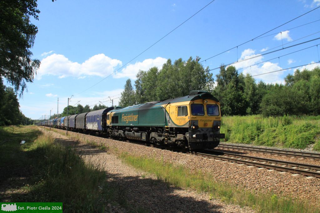 No. 20058772-008 / 66 008