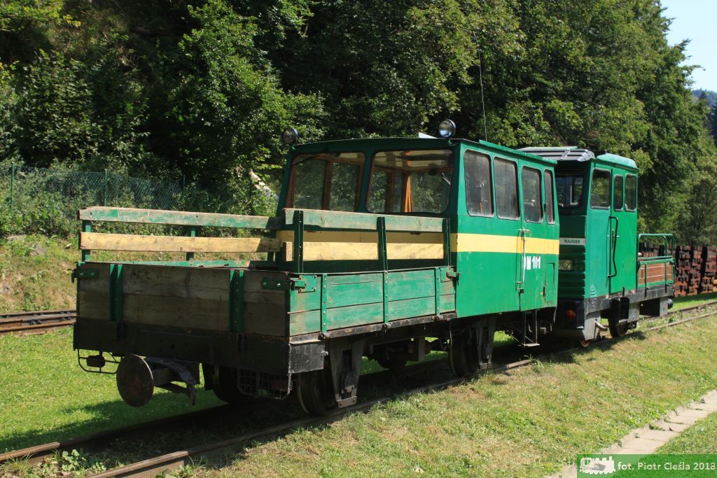 DM101