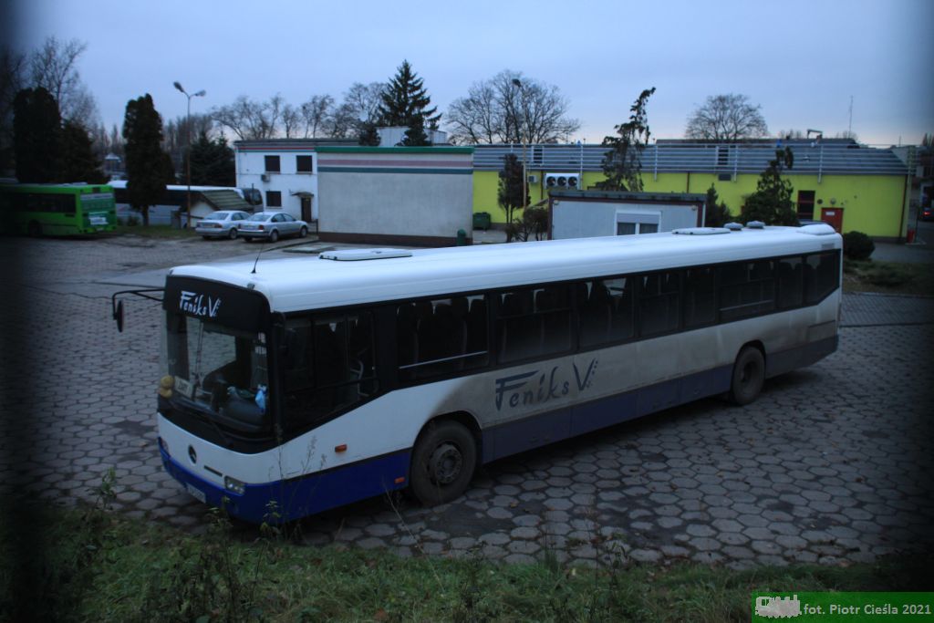[Feniks V Gliwice o. Żary] #Z19318