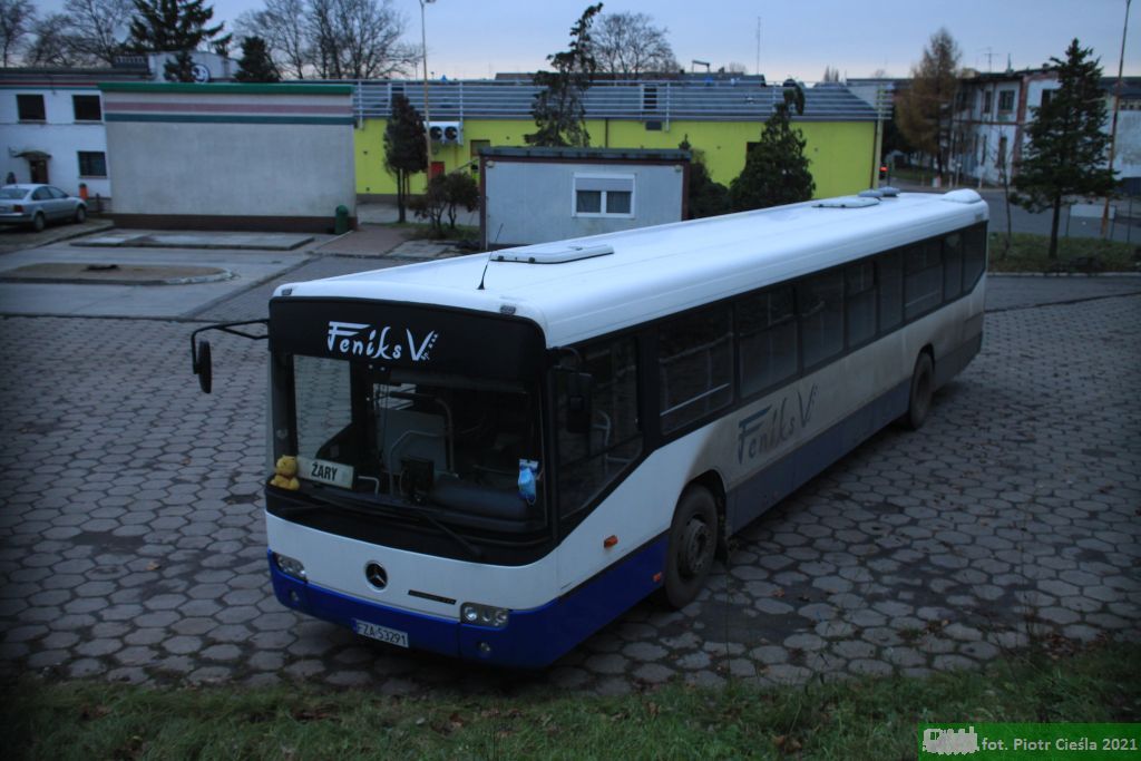 [Feniks V Gliwice o. Żary] #Z19318