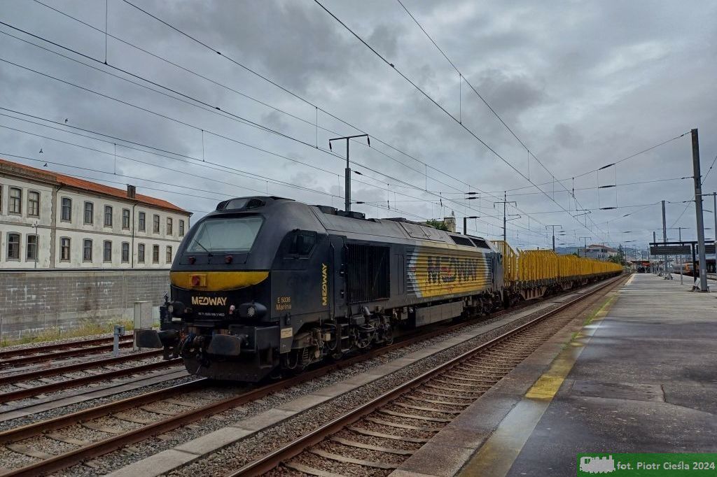 No. 2990 / 335.036 / E 5036 "Marina"