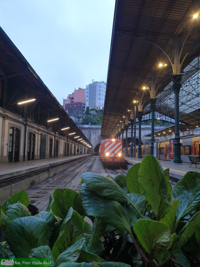 CP1461