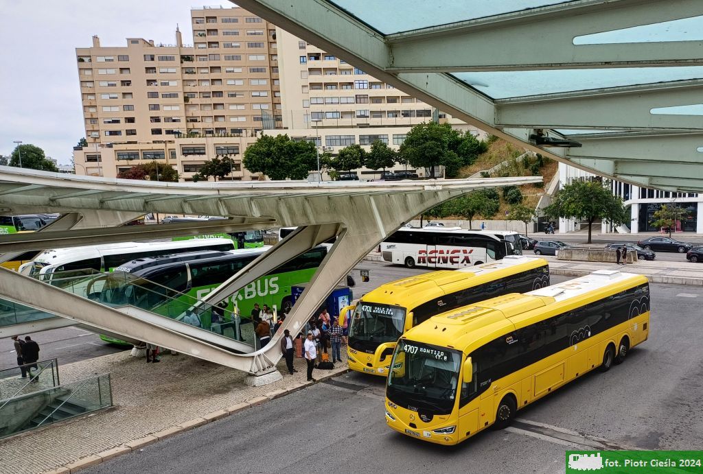 [ALSA Todi Setúbal] #12662