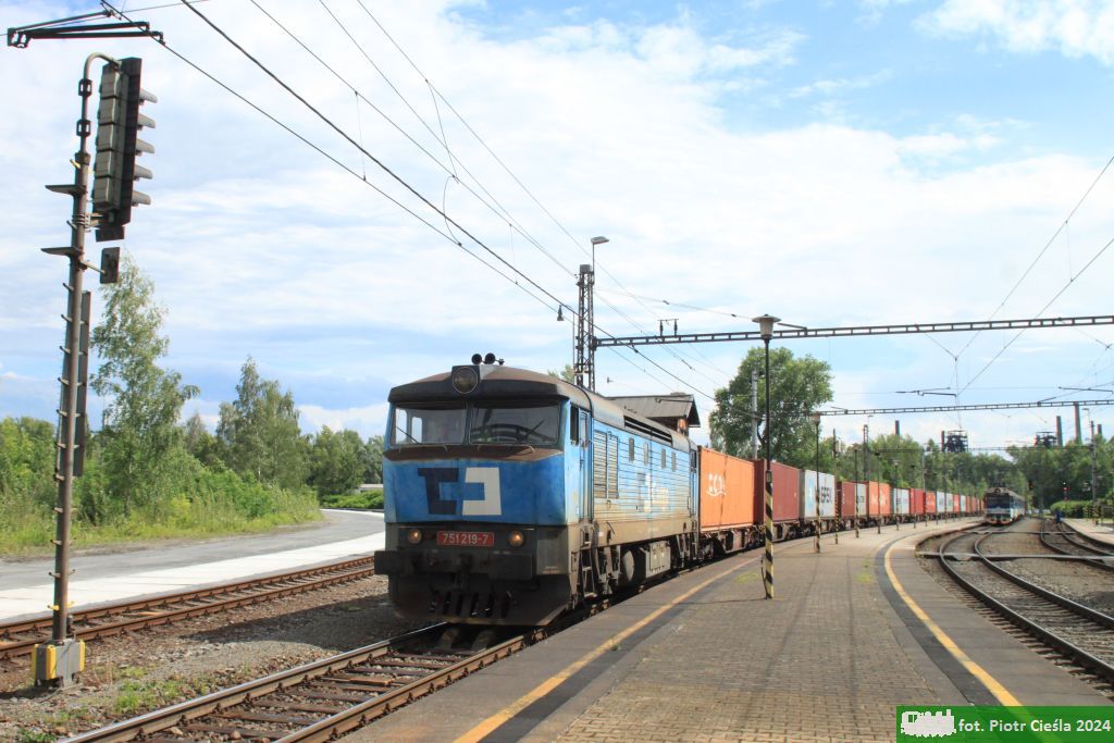 751 219 / T478.1219