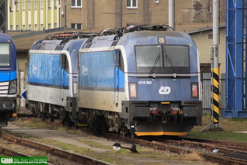 No. 21651 / 1216 903