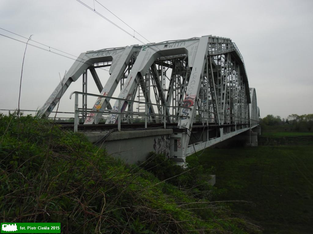 Linia nr 95: KrakÃ³w Podgrabie - most obwodnicy towarowej na WiÅ›le, 2015.05.01