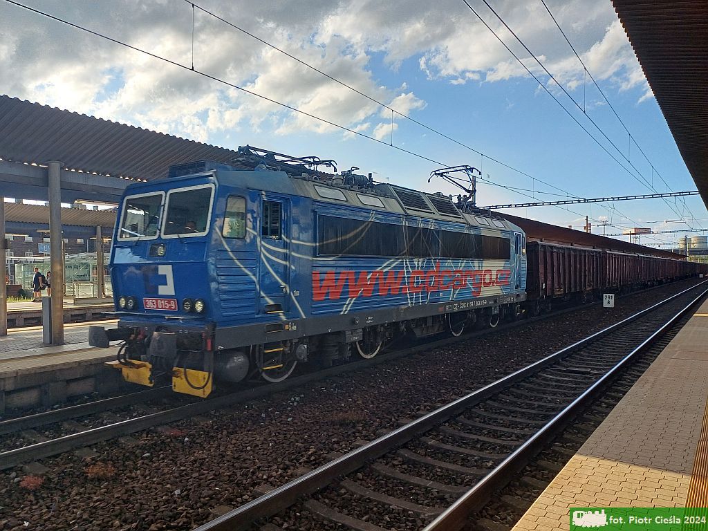 363 015 [ex ES499.1015]