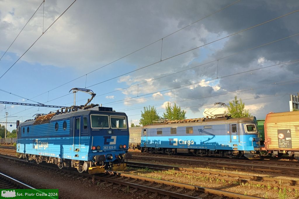363 020 [ex ES499.1020]