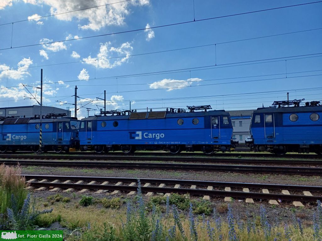 363 022 [ex ES499.1022]