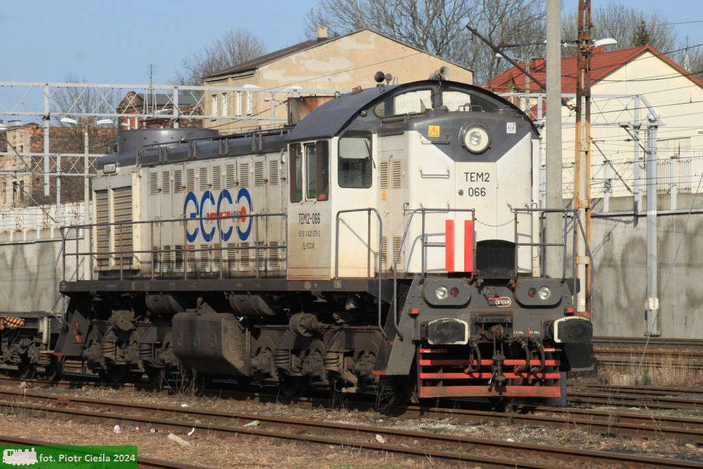 TEM2-066