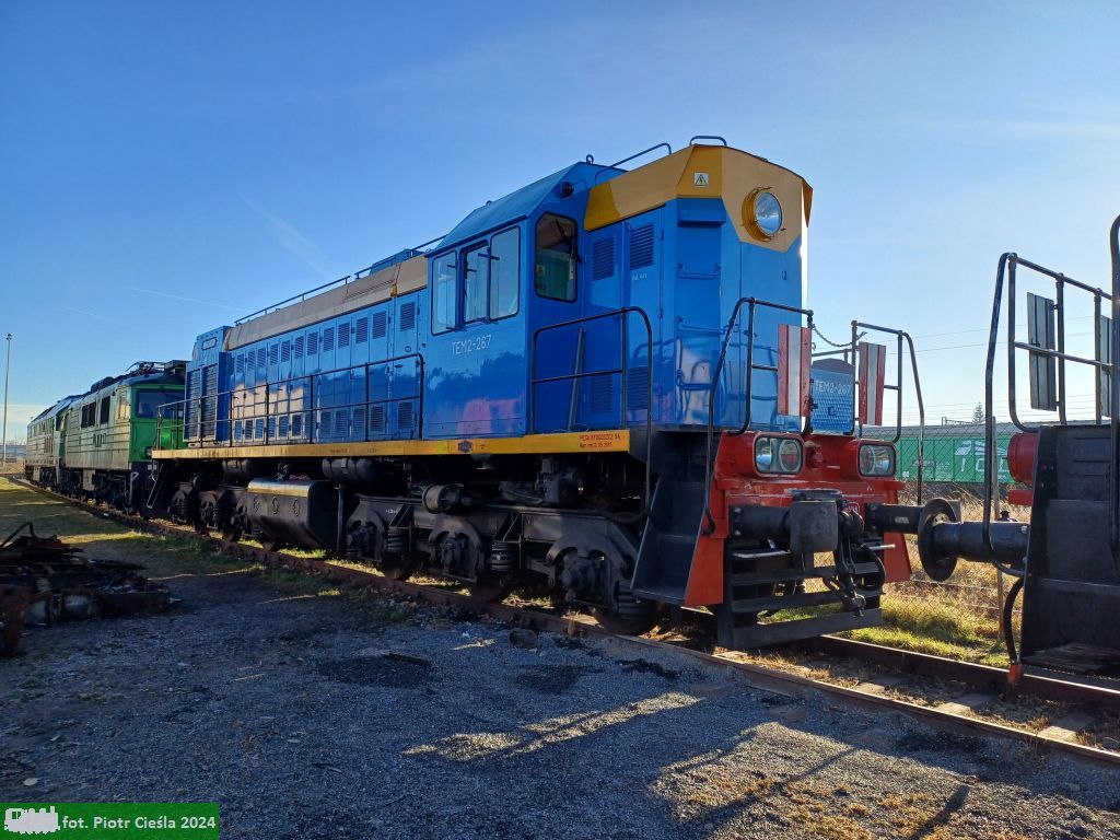 TEM2-267