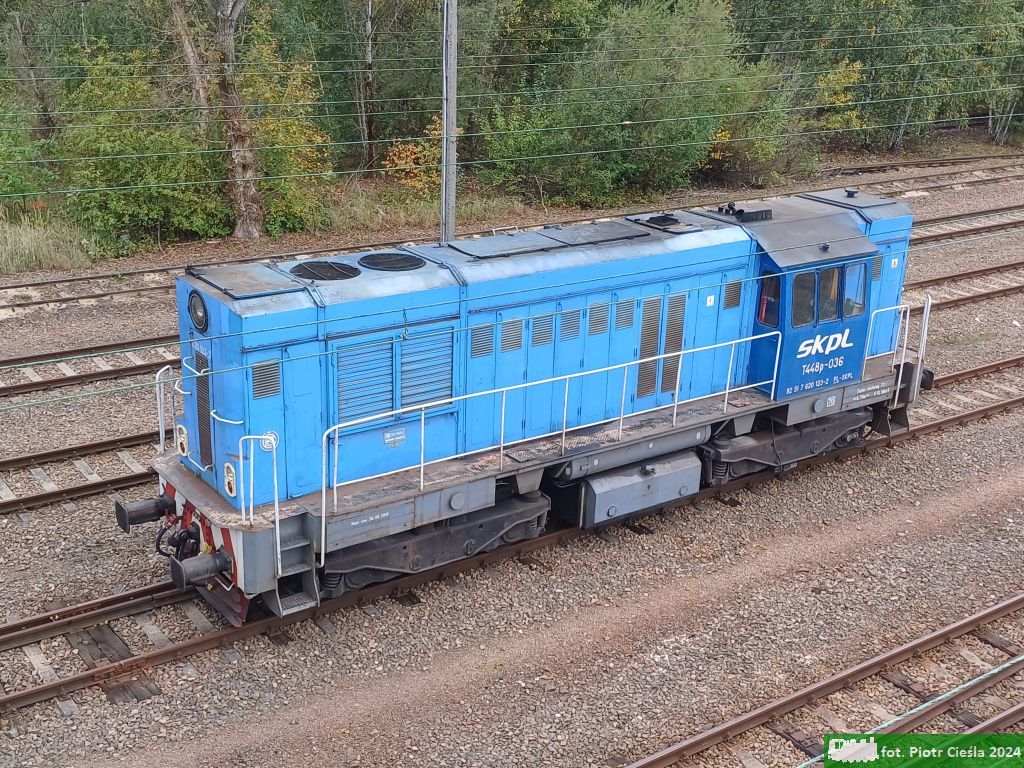 T448p-036