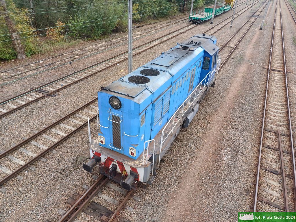 T448p-036