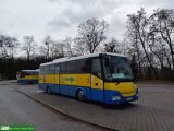 [Opolskie PKS S.A.] #104