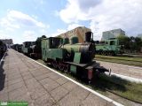 Las 3332 / [Cukrownia Gosławice] #2