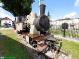 Las 3335 / [Cukrownia Zbiersk] #3