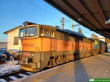 753 731 [ex T478.3363]