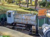 WLs50-2319