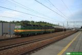 131 005 / 131 006 [ex E479.1005/E479.1006]