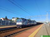 131 021 / 131 022 [ex E479.1021/E479.1022]
