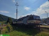 131 097 / 131 098 [ex E479.1097/E479.1098]
