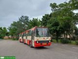 2025W28