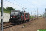 No. 35684 / 594 008 / 5 170 125 "JOANNA" No. 35684 / 594 008 / 5 170 125 "JOANNA"