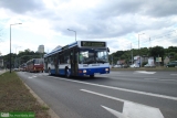 Zlot zabytkowych autobusów w Bydgoszczy - 85 lat bydgoskich autobusów - #09 - MAN NL222 [Gryf Żukowo] #7051