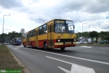 Zlot zabytkowych autobusÃ³w w Bydgoszczy - 85 lat bydgoskich autobusÃ³w - #12 - Ikarus 280.26 [www.kultowyikarus.pl Gdynia] #5634
