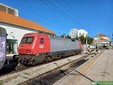 No. 2220 / CP5601-8