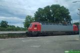 No. 2404 / CP5617-4