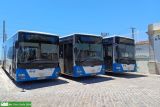 [Proximo Faro] #P403