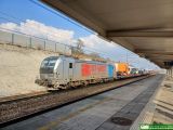No. 23307 / 6193 115