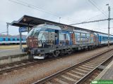 No. 23303 / 6193 568