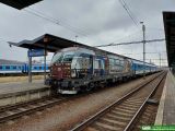 No. 23303 / 6193 568