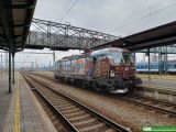 No. 23303 / 6193 568
