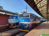 754 049 [ex T478.4049]