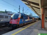 No. 21664 / EU44-005 / 5 370 005 No. 21664 / EU44-005 / 5 370 005