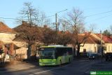 [Michalus Dziekanowice] #DJA 33985