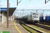 No. 35397 / 594 015 / 5 170 165