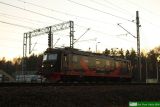 181 144 [ex E669.1144]
