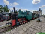 Ty1-15506 Ty1-15506