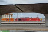 No. 2531 / 6005